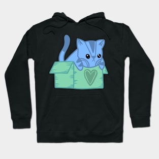 Cute Cat in a box Hoodie